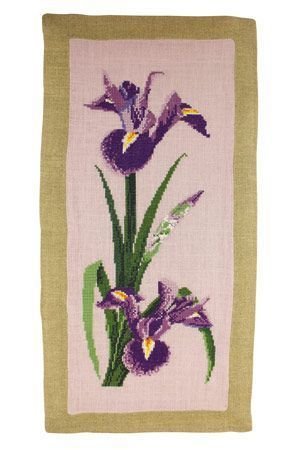 Färberpflanzen Iris